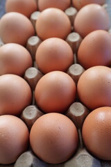 Una toma de cerca de varios huevos fresco de gallina para comer colocado en un cartón.