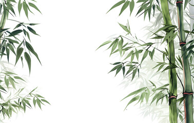 Fototapeta premium Bamboo leaves on white background with green natural elements