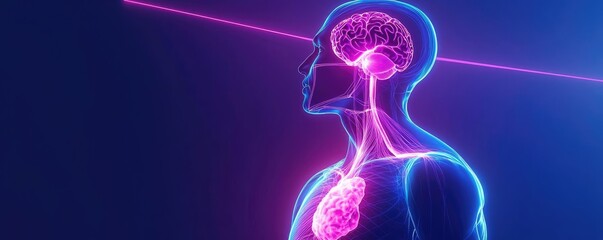 Neon human silhouette highlighting brain and heart against dark background.