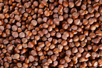 In-shell hazelnut pile background