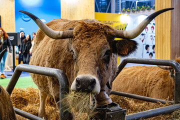 Salon de l'agriculture - Paris 2023