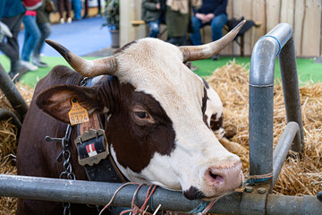 Salon de l'agriculture - Paris 2023