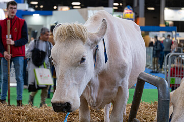 Salon de l'agriculture - Paris 2023