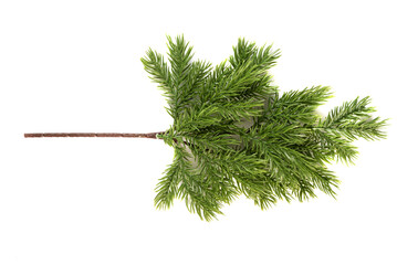 Fake fir tree branch for decorating of bouquets and home