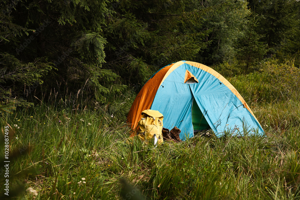 Poster Tent on green grass in mountains, space for text