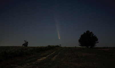 C 2023 A3 Tsuchinshan ATLAS Comet visible on 10-13-2024 October, from Florida, USA with rural dirt trail path and old southern live oak trees in background on horizon. visible to the naked eye © Chase D’Animulls