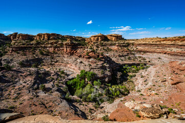 Canyonlands National Park in the fall of 2024