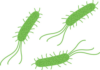 Helicobacter Pylori