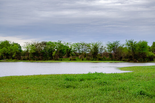 Laguna 