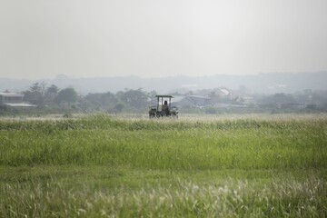Fototapeta premium Someone was operating a lawn mowing tractor in a large field.