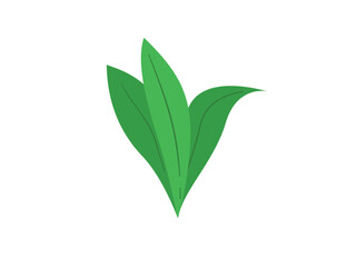 Green Leaves Plant. Park and Garden element Decoration