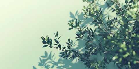Lush dark green plant branches contrasting against a soft light green background, perfect for botanical themes