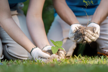 Community Volunteers Planting Trees Together for Environmental Conservation and Sustainability