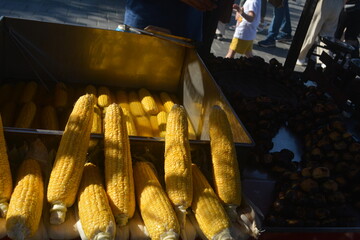 food from Istanbul