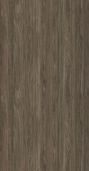 wood Texture