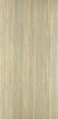 Naklejka premium wood Texture