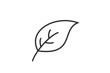 Leaf icon vector logo template flat style