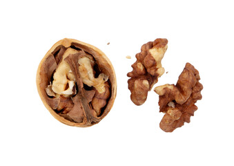 Collection of Walnuts isolated on white background, Walnuts kernels on White Background