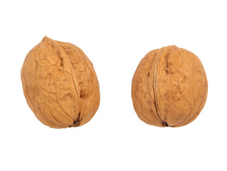 Collection of Walnuts isolated on white background, Walnuts kernels on White Background