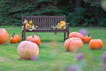 ハロウィンのカボチャ