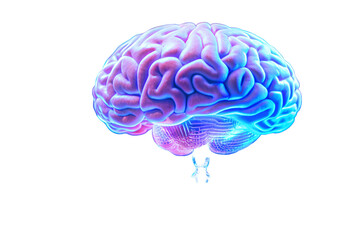 Hologram of the human brain reveals neural activity.png