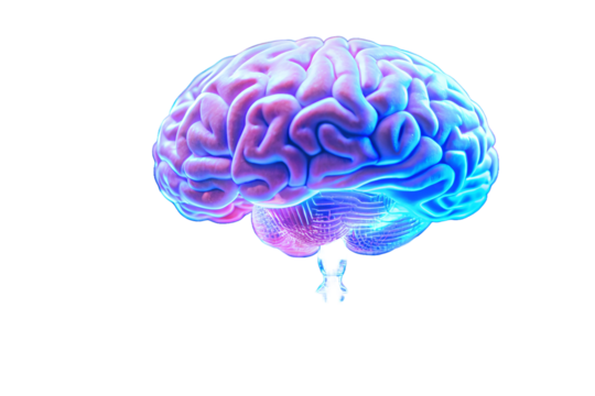 Hologram of the human brain reveals neural activity.png