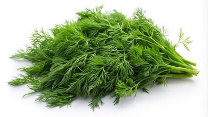 Aerial photography of fresh dill herbs set against a white background, ideal for culinary use and enhancing recipes with vibrant, aromatic visuals.