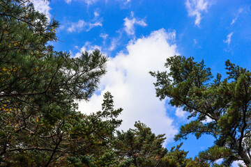 Hiking in the mountains. Rest in the mountains. Tourism and hiking.