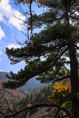 Hiking in the mountains. Rest in the mountains. Tourism and hiking.