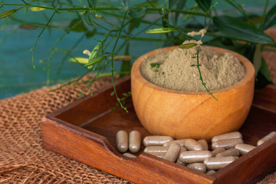 Andrographis paniculata extracts in woodle bowl with herbal capsules and leaves