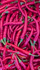 Fresh Red Chili Peppers Close-Up