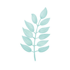 leaf isolated on white background