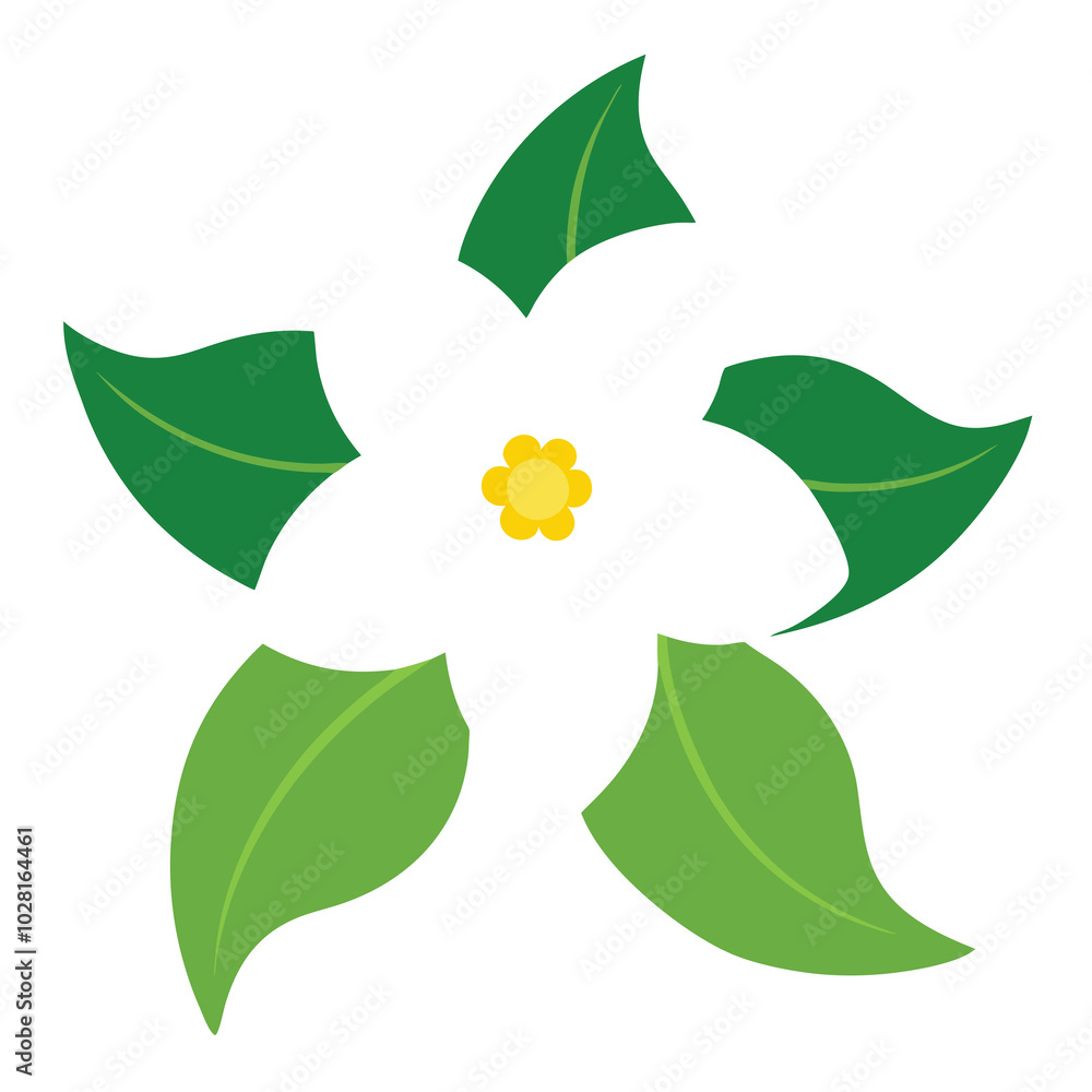 Sticker Jasmine Flower Vector Line Art.