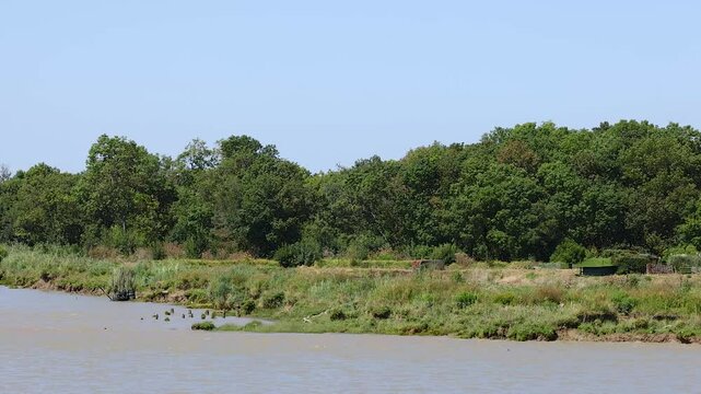 Riverbank Scene in Blaye, France