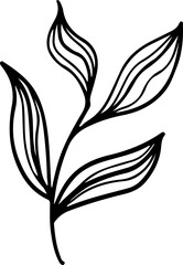 hand drawn plant leaves branch outline vintage style illustration