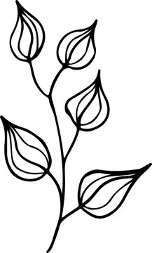 recommend clip art: hand drawn plant leaves branch outline vintage style illustration
