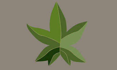 Biomorphism simple set palmate leaves