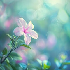 Fototapeta premium Beautiful pink flowers in soft color and blur style for background.