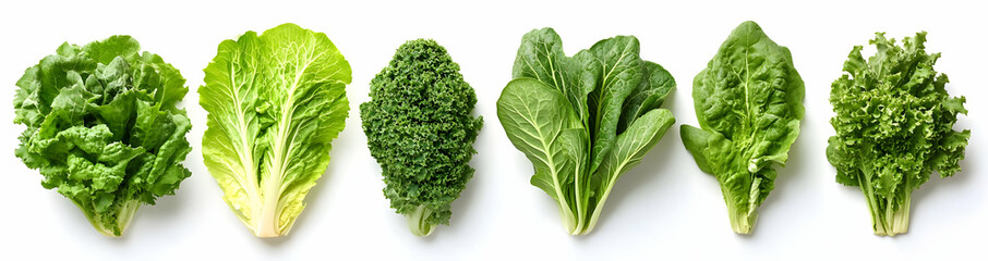Fresh Green Leafy Vegetables.