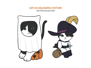 Cat_Halloween