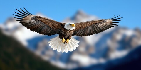 Naklejka premium Majestic Bald Eagle Soaring Over Mountains with Blue Sky
