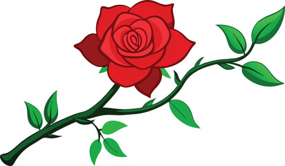 Obraz premium A climbing rose vector design with white background 