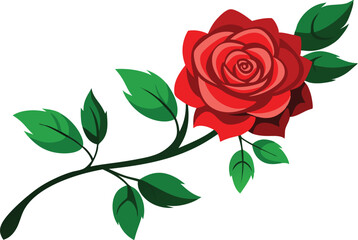 red rose with leaves illustration design 