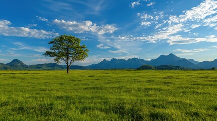 Obraz premium Scenic Landscape with Tree and Mountains