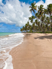 Praia do Xereu Alagoas Brazil