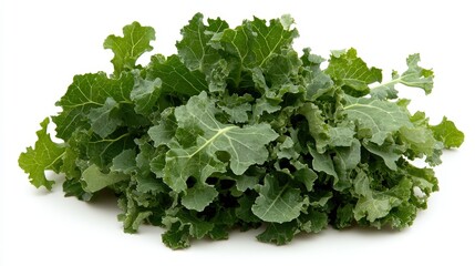 Fototapeta premium Fresh Green Kale Leaves Isolated on White Background