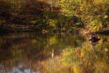 Duck house in the middle of an autumn lake. Peaceful autumn landscape.