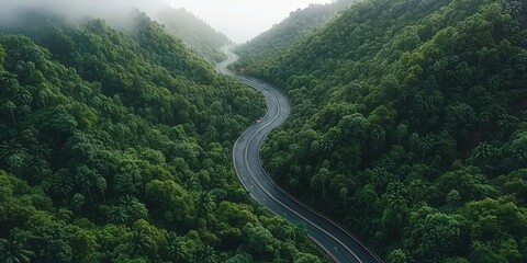 Winding Road Through Lush Green Forest  Aerial View