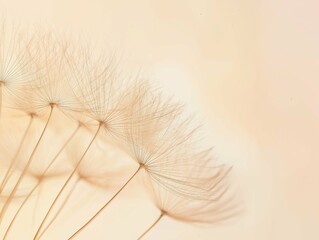 Soft, pastel-colored close-up of two dandelions with their delicate seeds floating against a light background, creating a dreamy and ethereal atmosphere with a focus on texture and natural beauty.