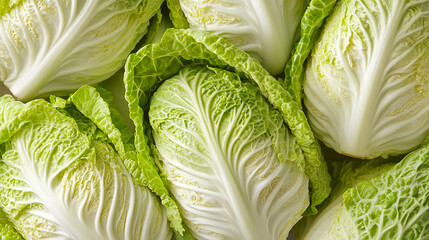 Close-up of fresh Napa cabbage with layered leaves